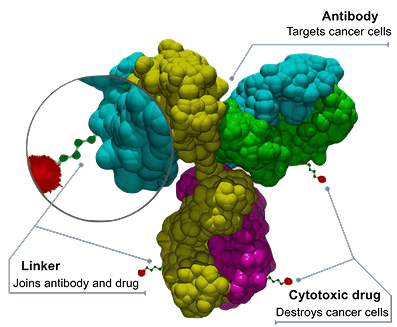 Modern Chemotherapy