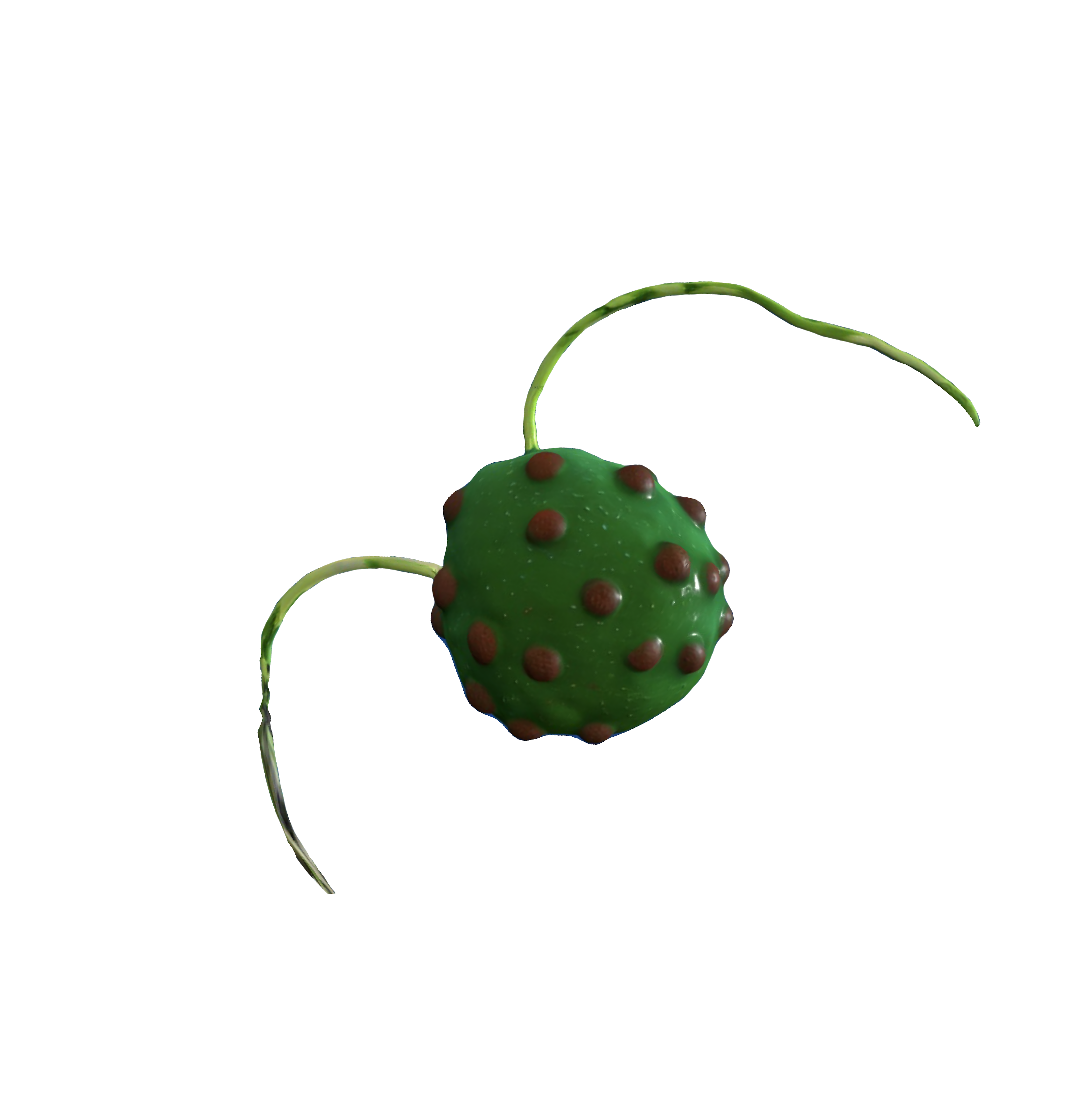 Main Design